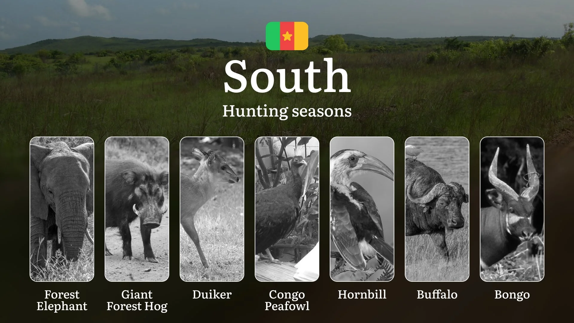 Hunting Calendar in South: The Thrill of Hunting Events and Traditions, Legislation & General Hunting Rules and Permits Hunting Calendar in South: The Thrill of Hunting Events and Traditions, Legislation & General Hunting Rules and Permits