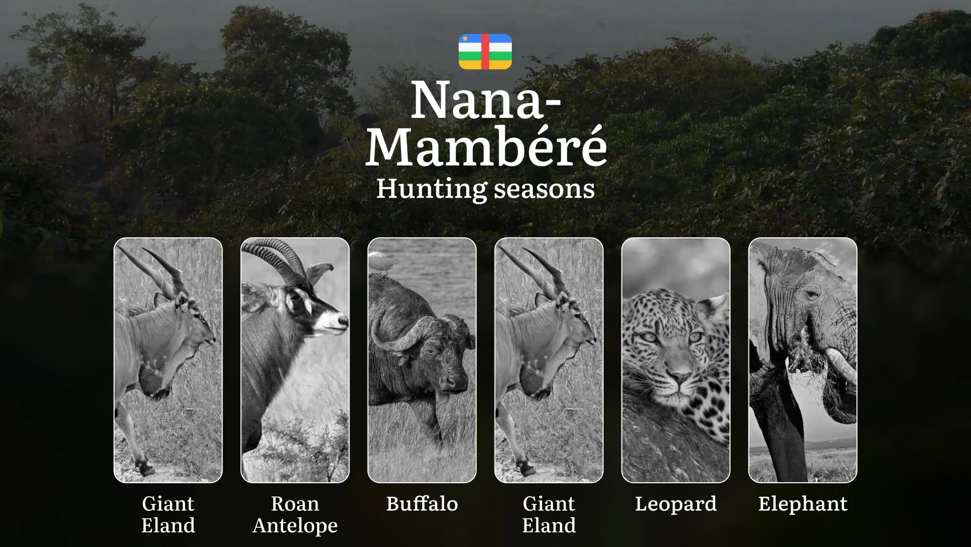 Hunting in Nana-Grébizi: Understanding Hunting Calendar, Legal Permits and Restrictions, Local Hunting Traditions