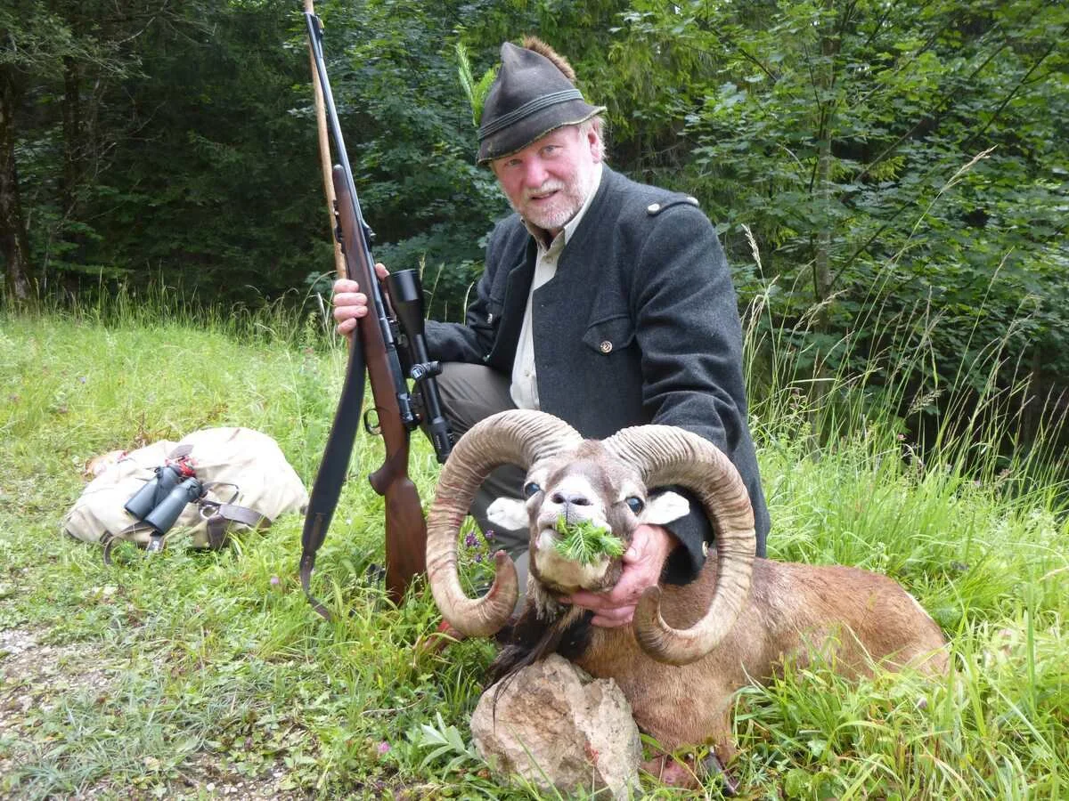 Jagd in Sankt Johann im Pongau: Lebensraum, Tradition, Wild, Jagdmethoden, Jagdzeiten, Rechtliches, Besonderheiten, Jagderlebnis Jagd in Sankt Johann im Pongau: Lebensraum, Tradition, Wild, Jagdmethoden, Jagdzeiten, Rechtliches, Besonderheiten, Jagderlebnis