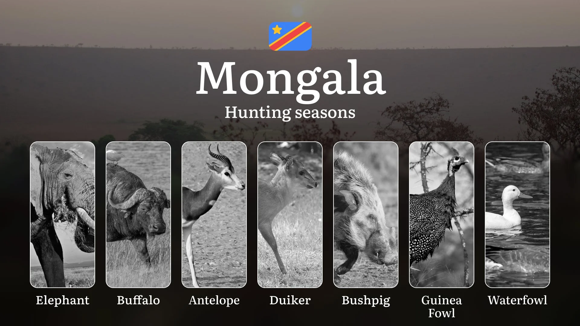 Hunting Date Ranges in Mongala (DRC): Main Seasons by Species, No-Hunt Zones, Regulations and Special Cases, License Process, Recommended Equipment, Best Spots, and Timing Tips 