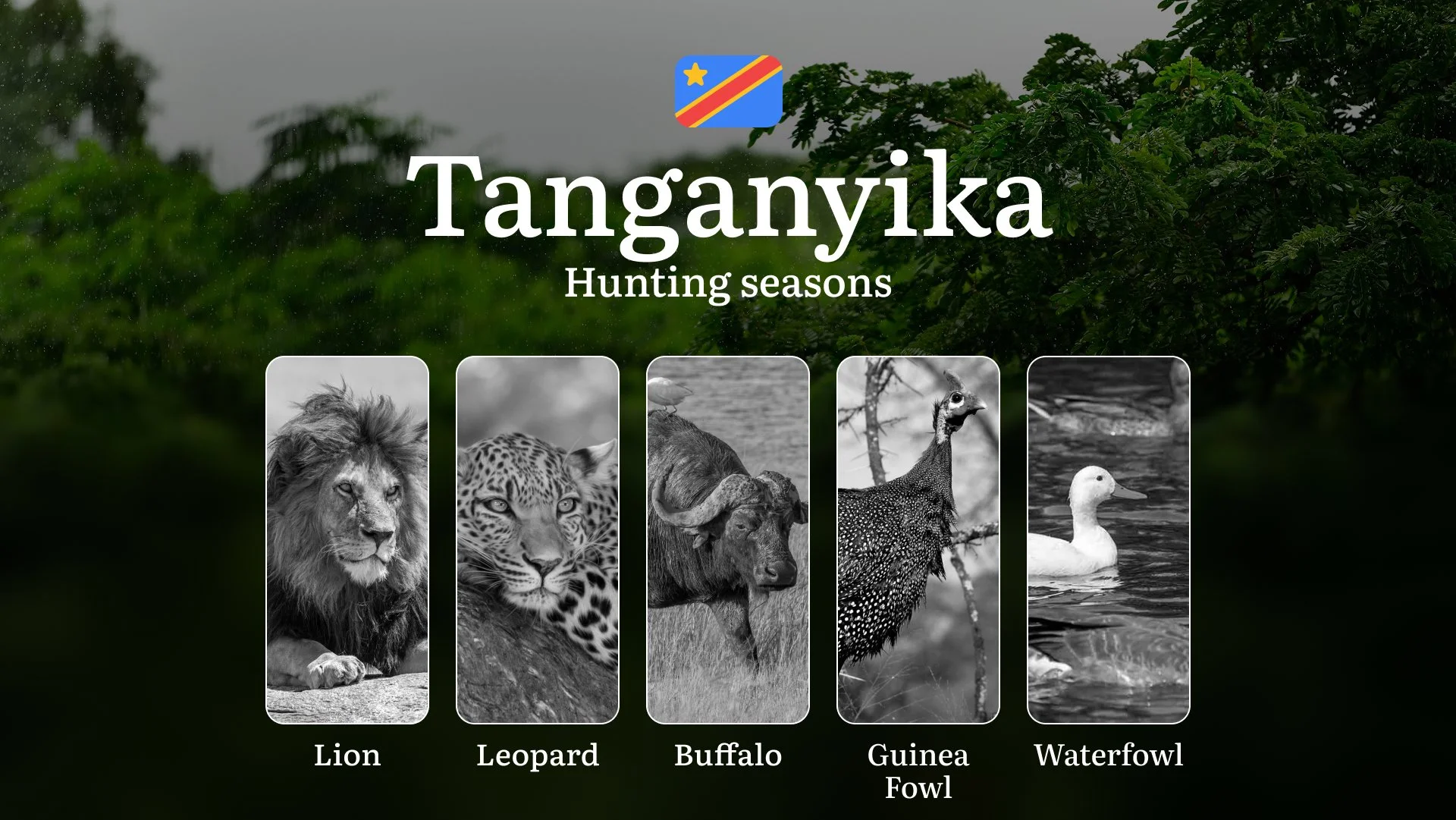 Hunting Date Ranges in Tanganyika (DRC): Main Seasons by Species, No-Hunt Zones, Regulations, License Process, and Timing Tips