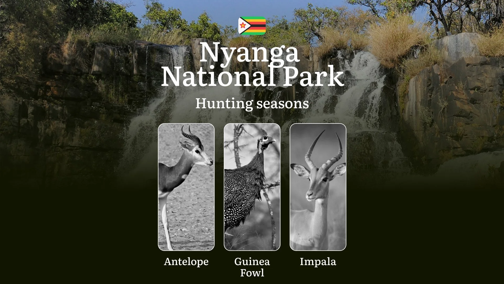 Dates of Hunting in NYANGA NATIONAL PARK, Zimbabwe: Seasons, Licenses, Rules, and Periods, Hunting Permits, Tips for Planning