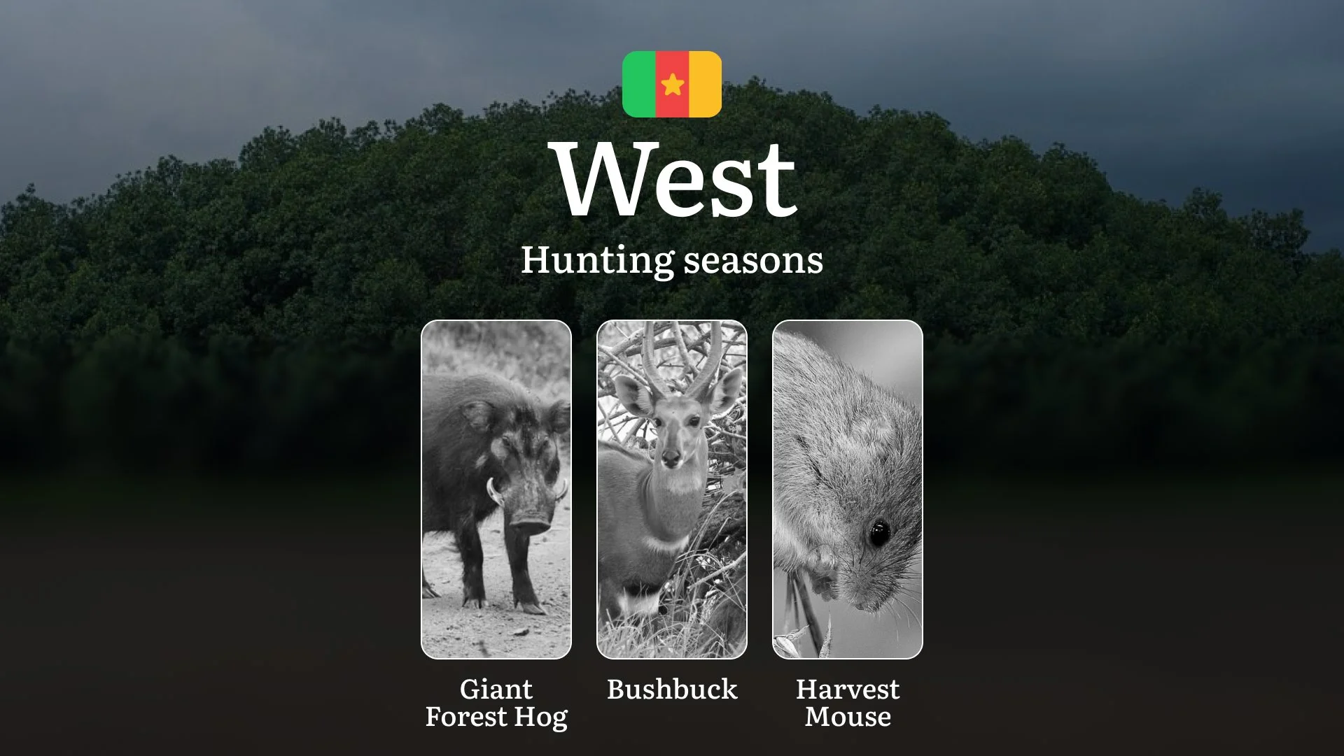 Hunting Seasons of West: Exploring General Hunting Rules, Legislation and Permits, Hunter Events and Cultural Experiences Hunting Seasons of West: Exploring General Hunting Rules, Legislation and Permits, Hunter Events and Cultural Experiences