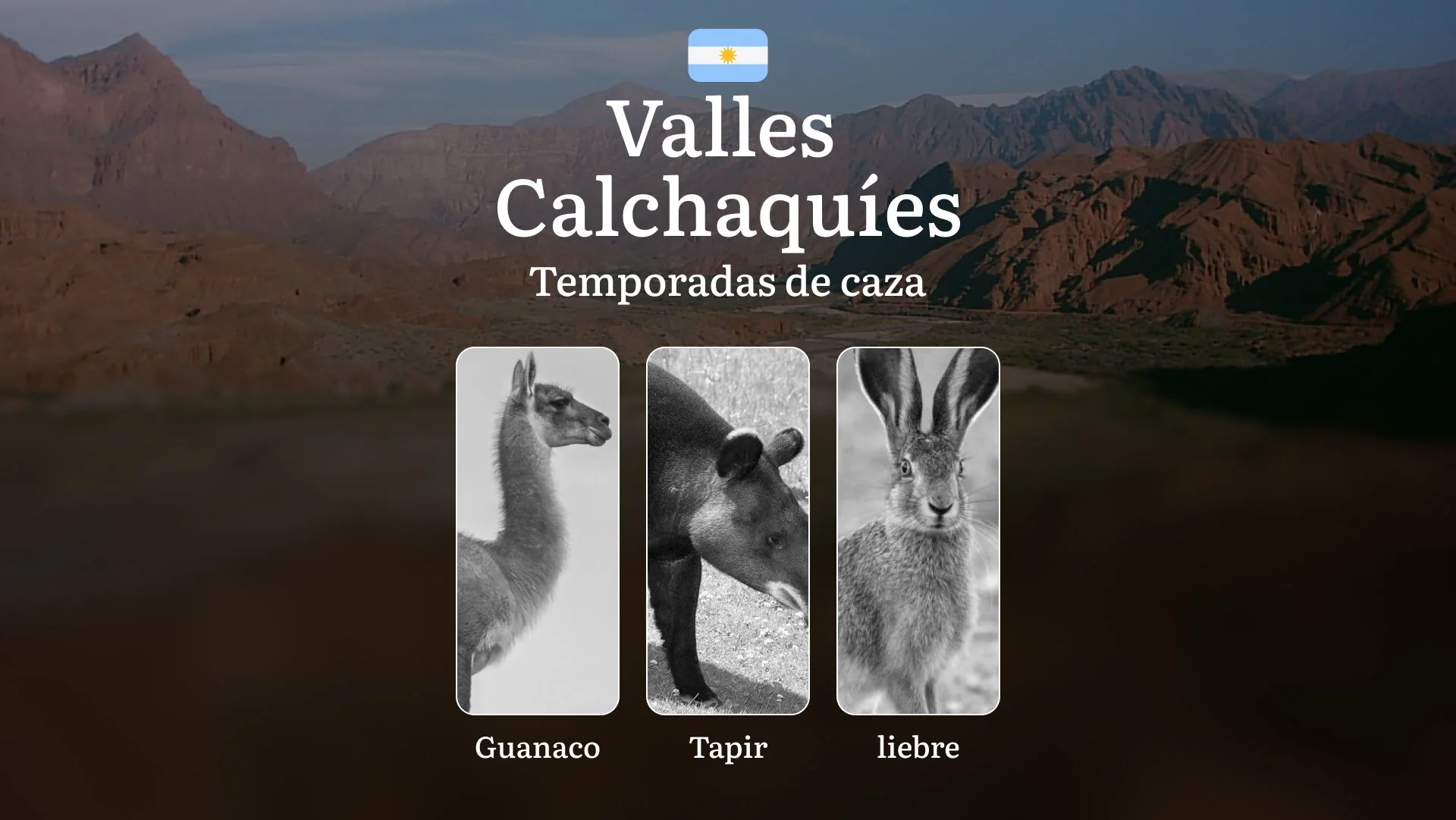 Temporadas de caza en Argentina: región Zona de los Valles Calchaquíes – Restricciones y prohibiciones en la caza, Sanciones y responsabilidad,  Consejos para la caza
