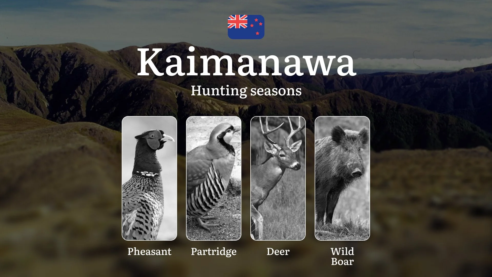 Hunting Seasons in New Zealand, Features of the KAIMANAWA Ranges Region: Rules and Seasonality of Hunting, Prohibitions and Restrictions, Penalties for Violating Hunting