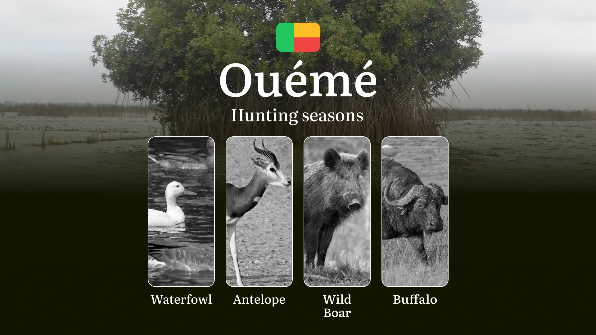 Hunting Dates in Benin, OUÉMÉ Region: Hunting Periods and Time, Permits and Rules, Practical Tips and Tactics for Hunters