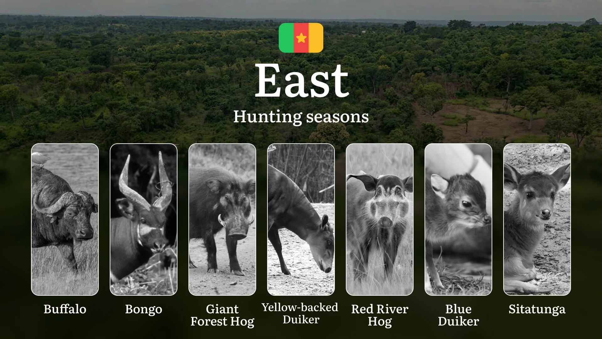 Hunting Calendar in East: The Thrill of Hunting Events and Traditions, Legislation & General Hunting Rules and Permits Hunting Calendar in East: The Thrill of Hunting Events and Traditions, Legislation & General Hunting Rules and Permits