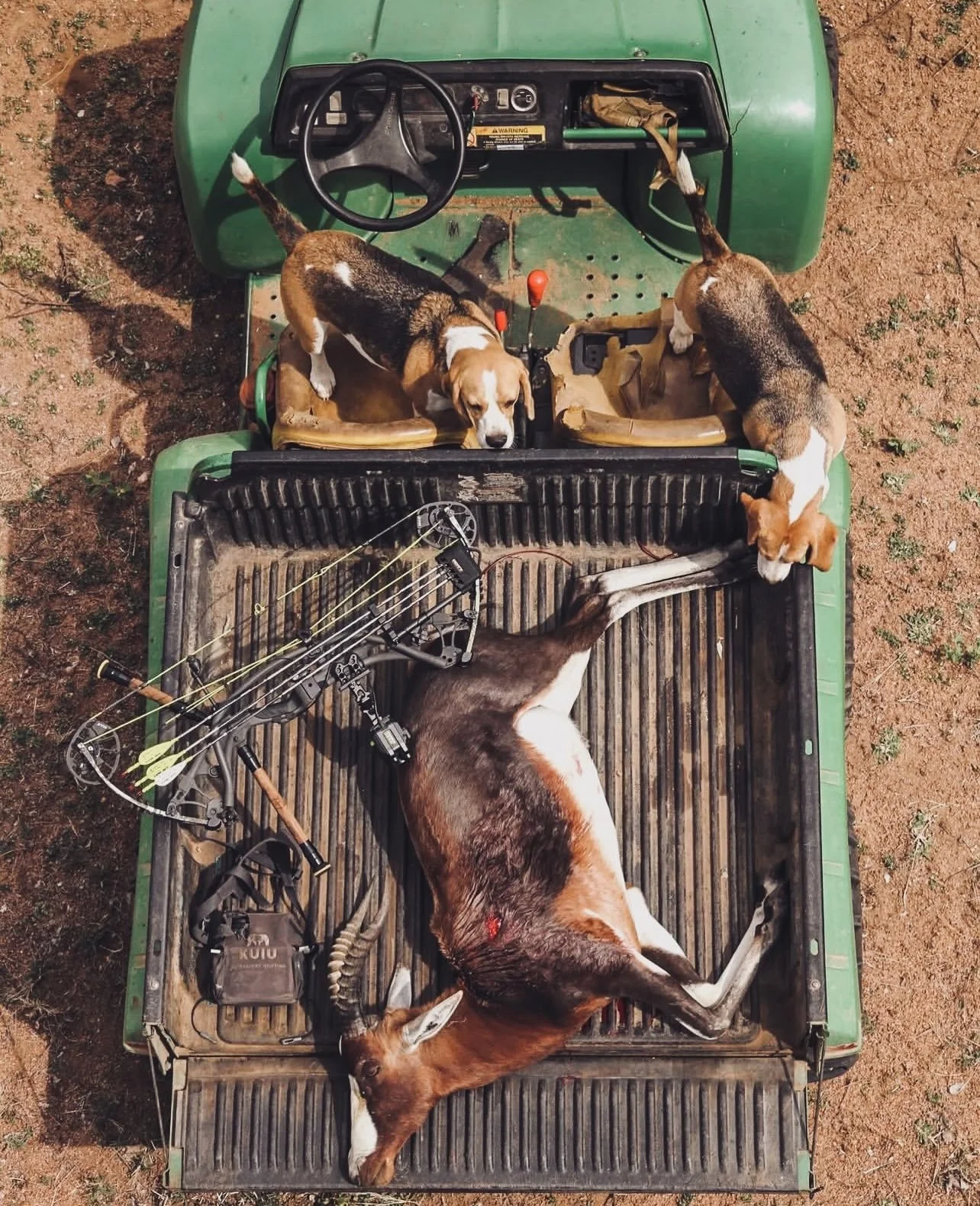 Bow Hunting Africa: A Hunter's Guide to Planning Your Trip