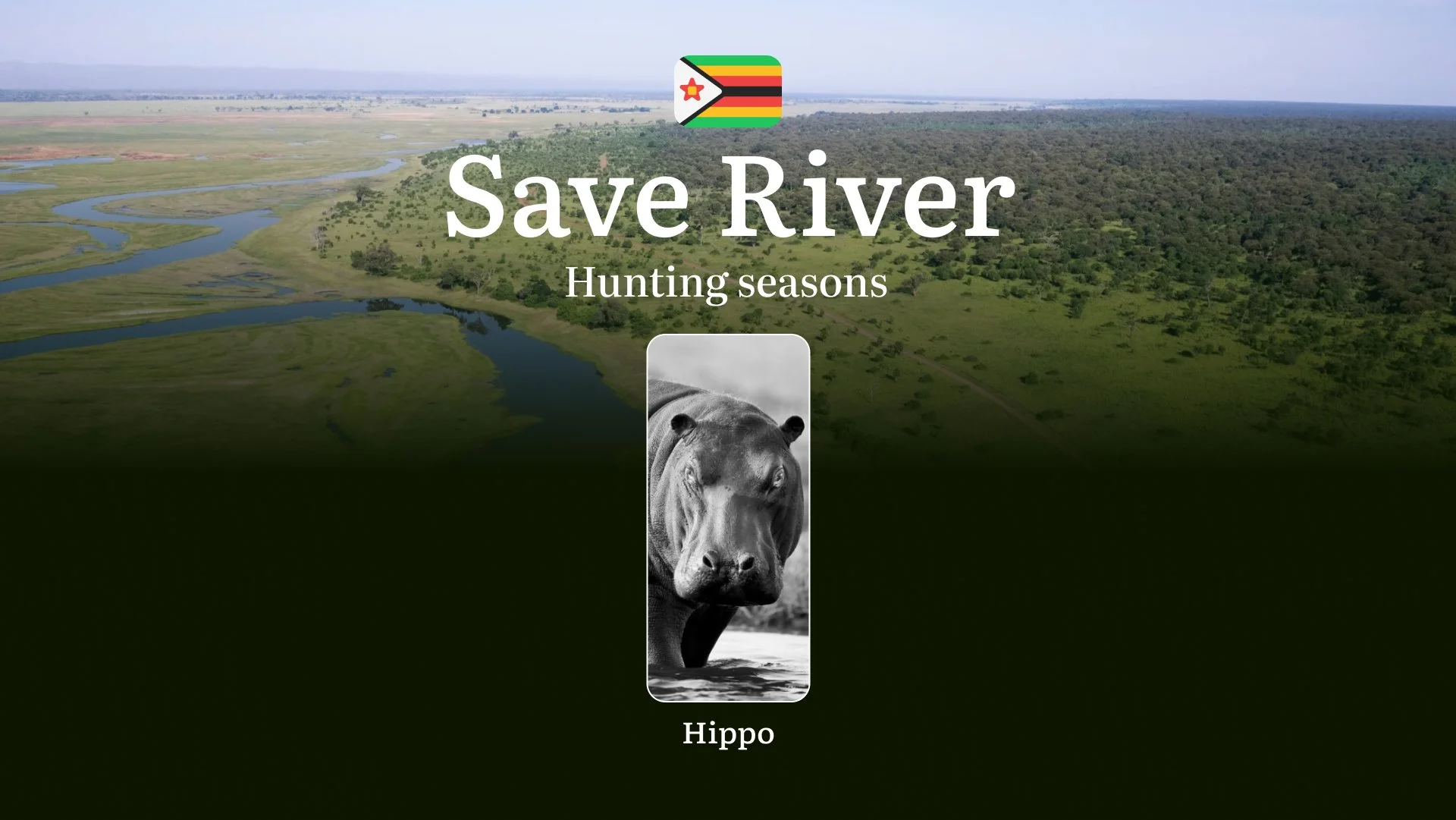 Hippo Hunting Seasons in SAVE RIVER, Zimbabwe: Dates and Seasons of Hunting, Regulations, Permits, and Tips for Hunters