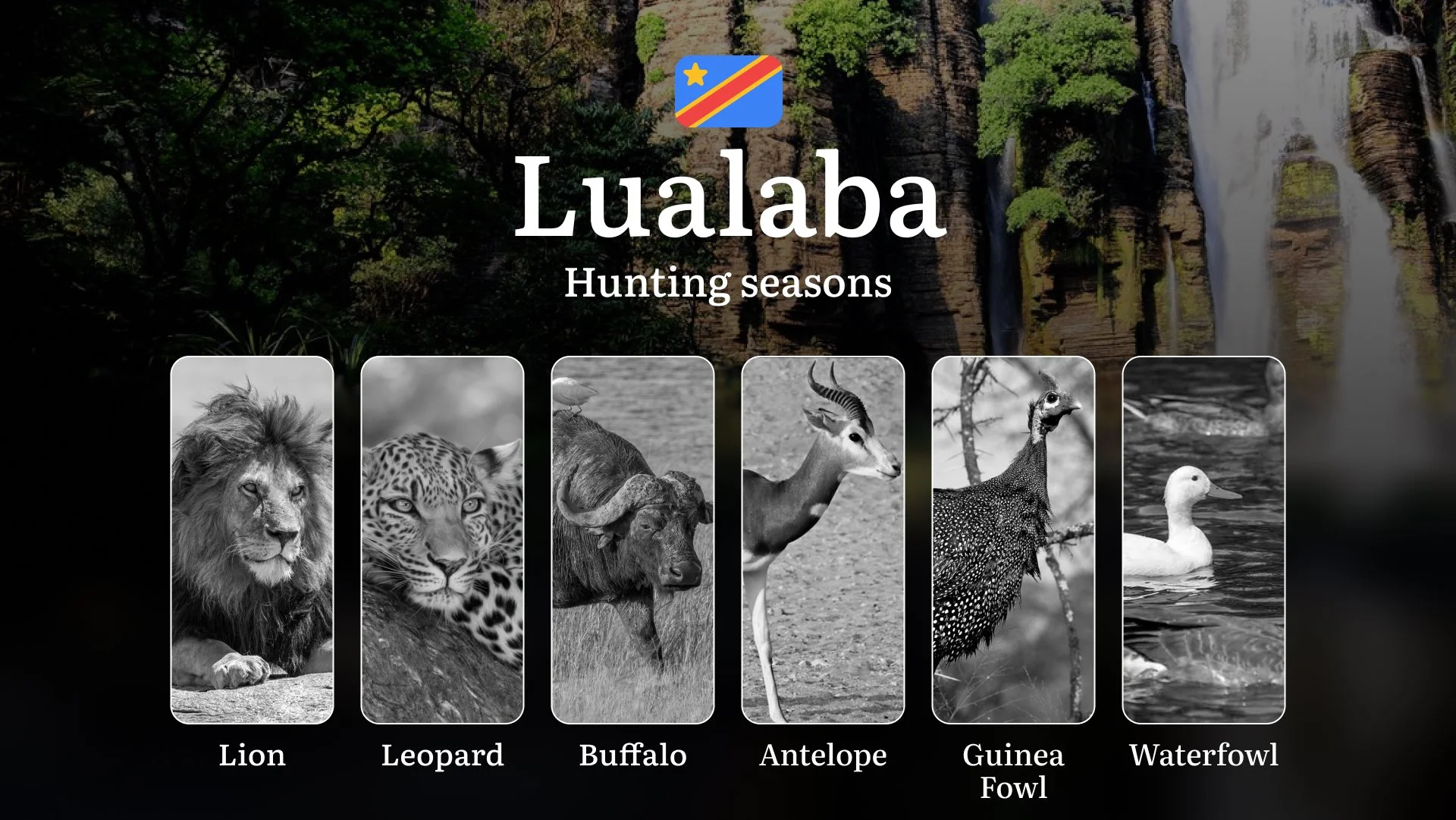 Hunting Calendar for Lualaba Province: Regional Hunting Rules, Licensing Procedures, Off-Season Violation Penalties, and Strategic Advice on Timing, Equipment, and Techniques 