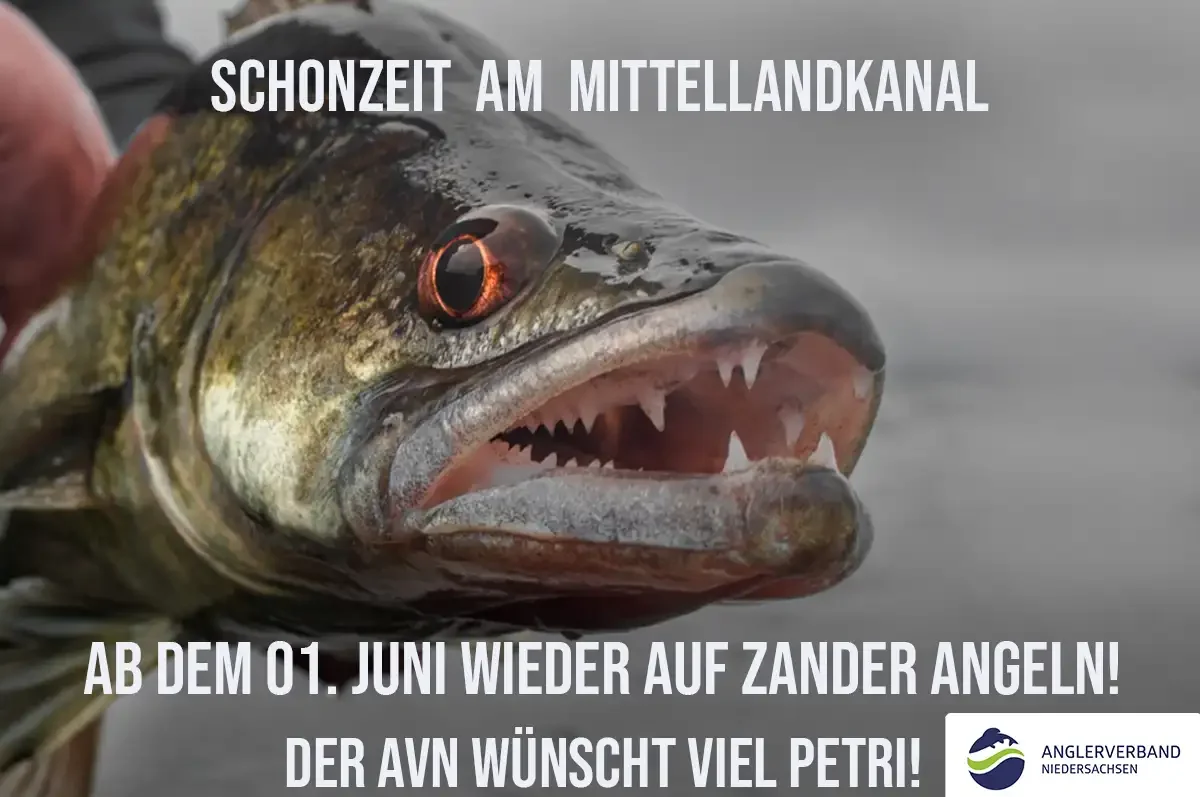 Anglerverband Niedersachsen Mitgliederversammlung 2026 – Satzungsänderungen beschlossen