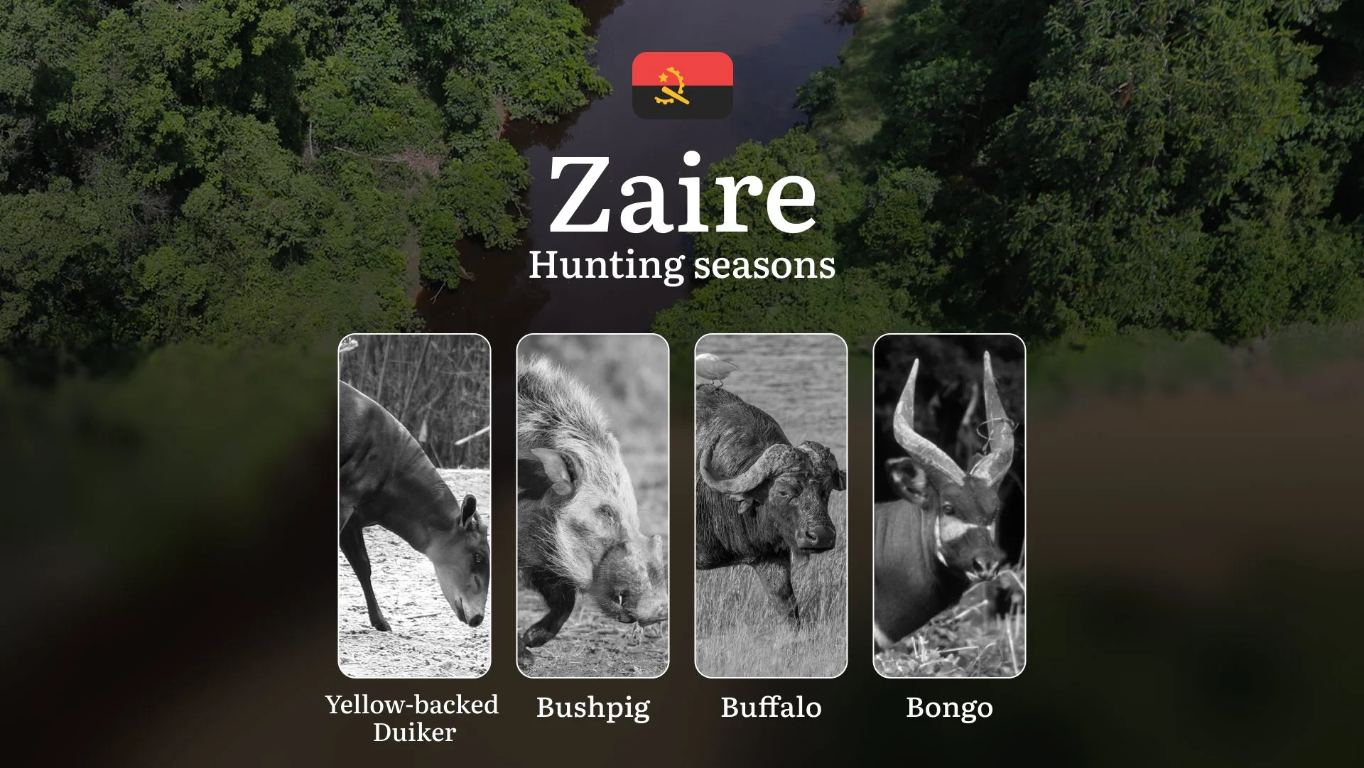 Hunting Calendar in Zaire: The Thrill of Hunting Events and Traditions, Legislation & General Hunting Rules and Permits