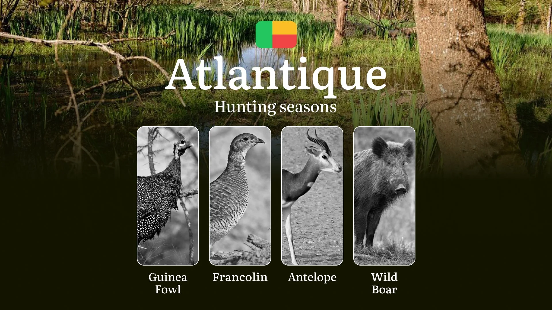 Seasons of Hunting in the ATLANTIQUE Region, Benin: Timing and Hunting Seasons, Protected Species and Restrictions, Licenses and Permits