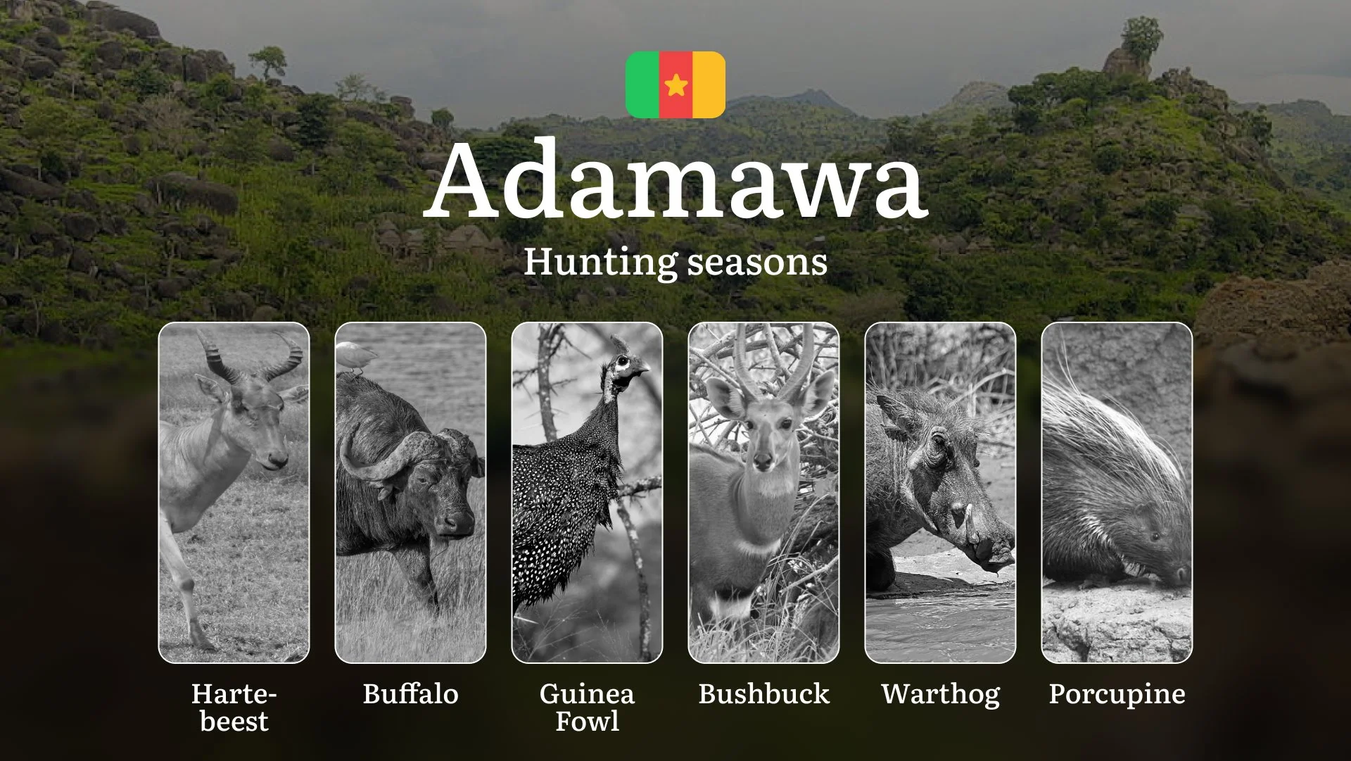 Hunting Laws and Seasons in Adamawa: General Hunting Rules, Permits, Restrictions & Time-Honored Events Hunting Laws and Seasons in Adamawa: General Hunting Rules, Permits, Restrictions & Time-Honored Events