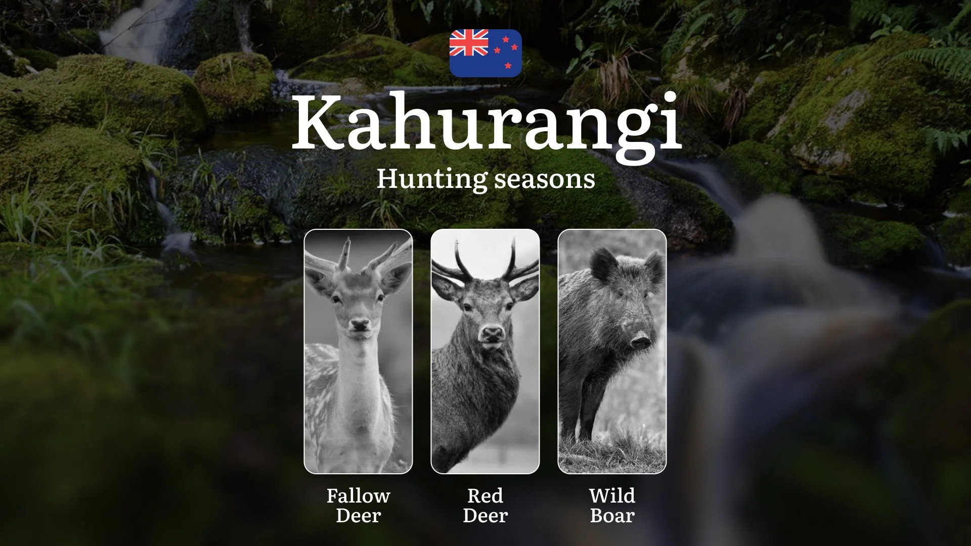 KAHURANGI National Park, New Zealand: Hunting Periods, Opening and Closing Dates, Licenses, Rules, and Best Times for Hunting