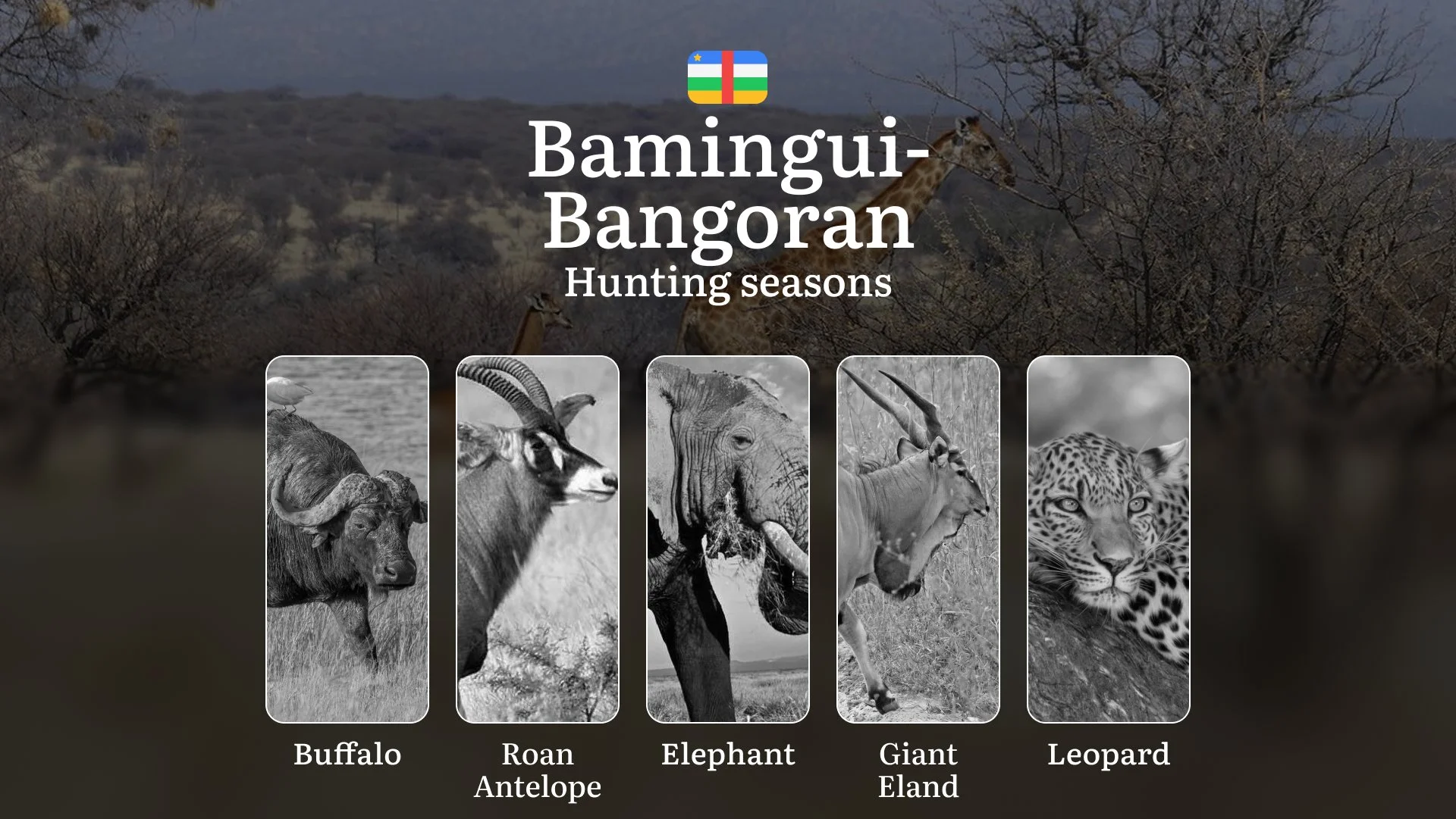Hunting Laws and Seasons in Bamingui-Bangoran: General Hunting Rules, Permits, Restrictions & Time-Honored Events 