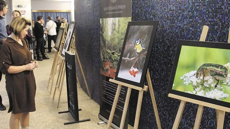 Fotografové z Klubu myslivecké jednoty vystavují v předsálí DKO