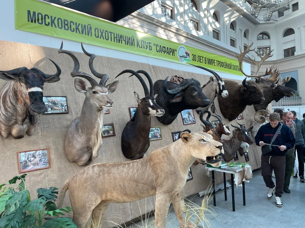 Hunting Exhibitions and Shows banner