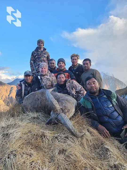 The coolest hunt with big discounts❗️