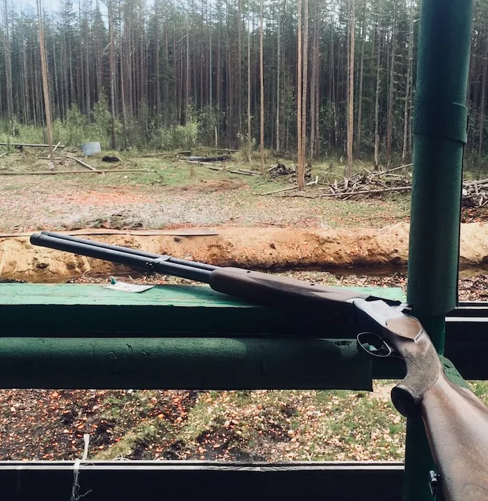 ИЖ-59 «Спутник»: обзор охотничьего ружья, характеристики, модификации, отзывы