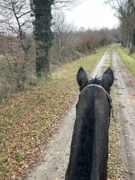 Six heures à cheval.