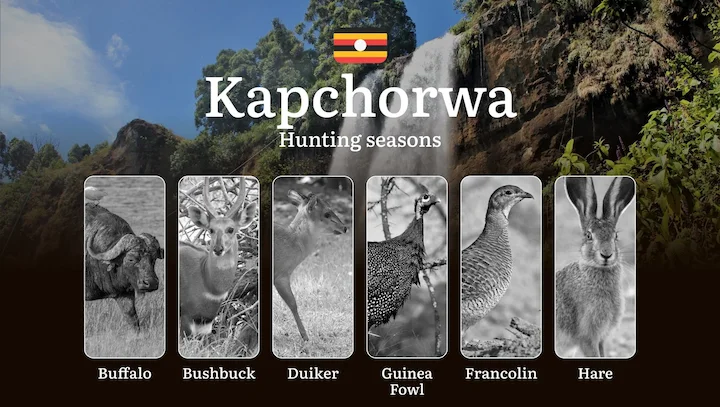 Permitted Hunting Intervals in Kapchorwa: Year-Round Huntable Wildlife, Seasonal Migration of Game, and the Process for…
