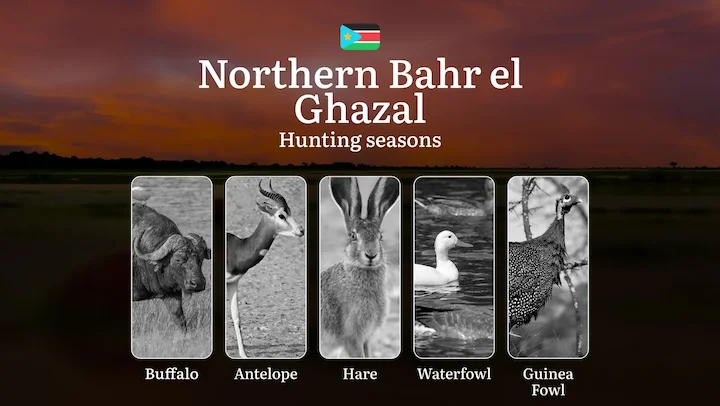 Hunting Calendar for Northern Bahr el Ghazal: Regulations, Permits, and Best Time for Hunting, Documents and Organizatio…