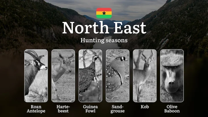 Hunting Calendar in North East: The Thrill of Hunting Events and Traditions, Legislation & General Hunting Rules and Permits