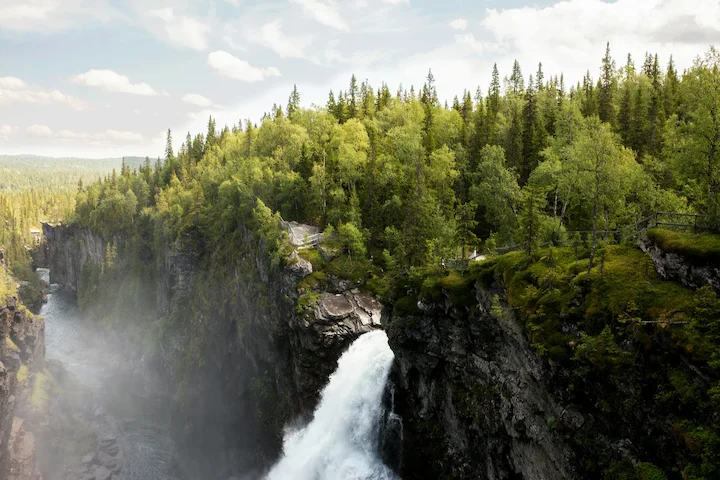 Hunting in Dalarna, Sweden: A comprehensive guide for hunters, including species, seasons, permits, regulations, and tips for hunt in the heart of Sweden
Dalarna, a pict
