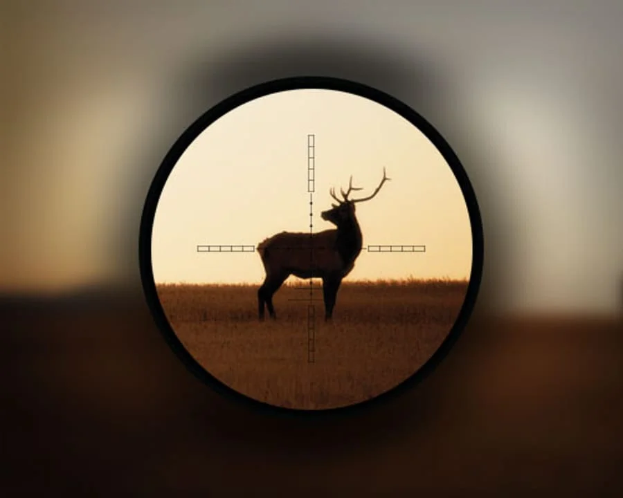 Five Top Tips to Improve Low Light Hunting
Illuminated Reticles
One of the most popular simple solutions to low light hunting is to buy a riflescope with an illuminated