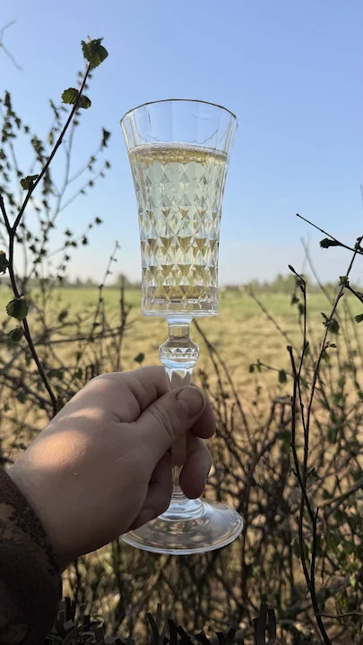 Олонецкие гуси 2026 Олонецкие гуси 2026