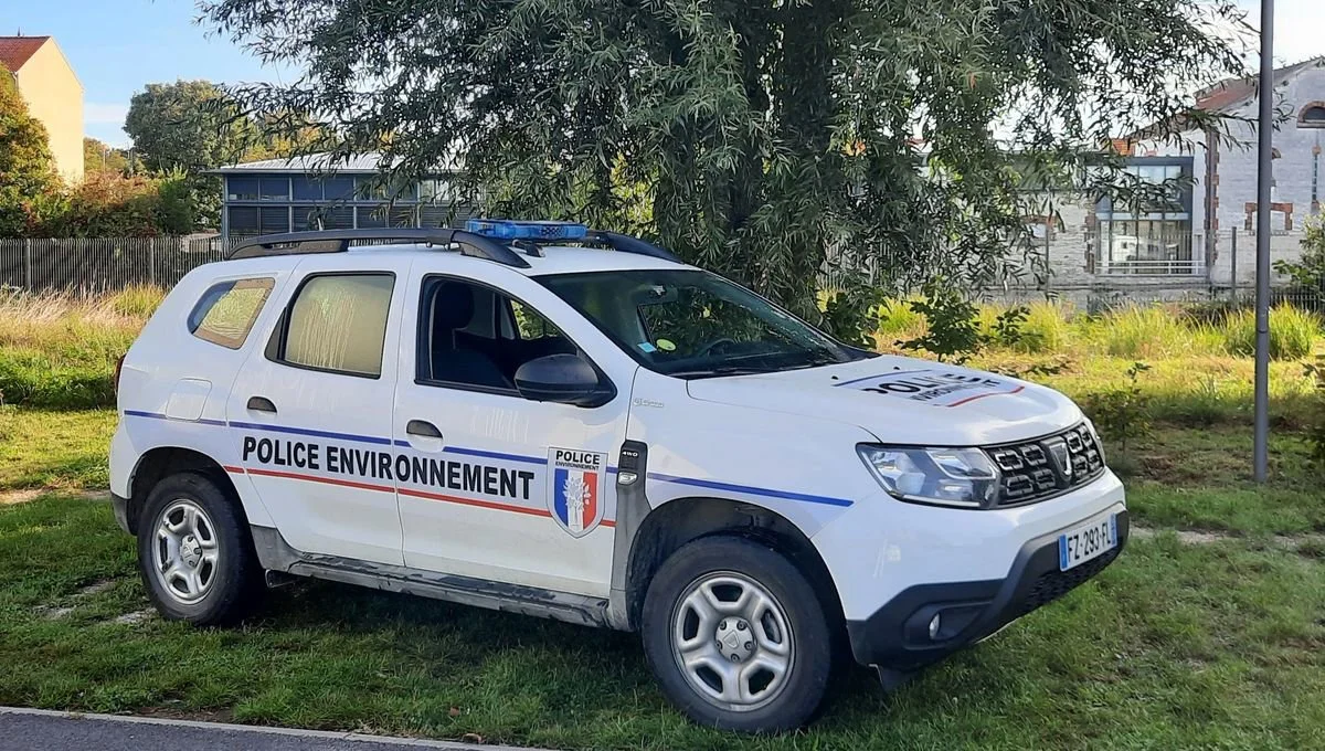 L'OFB démantèle un trafic illégal de venaison en Isère