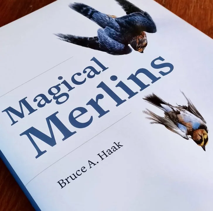 Falconry Books and Documentaries — Essential Reads, History, and Must-Watch Films for Hunters and Falconers Falconry Books and Documentaries — Essential Reads, History, and Must-Watch Films for Hunters and Falconers
