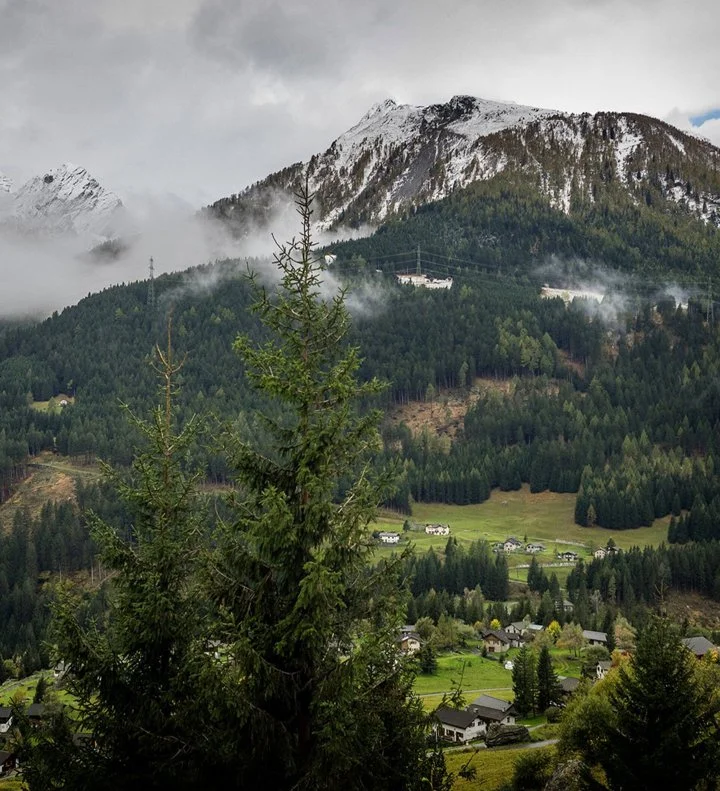 En Suisse, comme la pêche, la chasse est une activité strictement réglementée par la législation cantonale et étatique dans le but d'une gestion rationnelle des ressources naturelles de la Suisse.