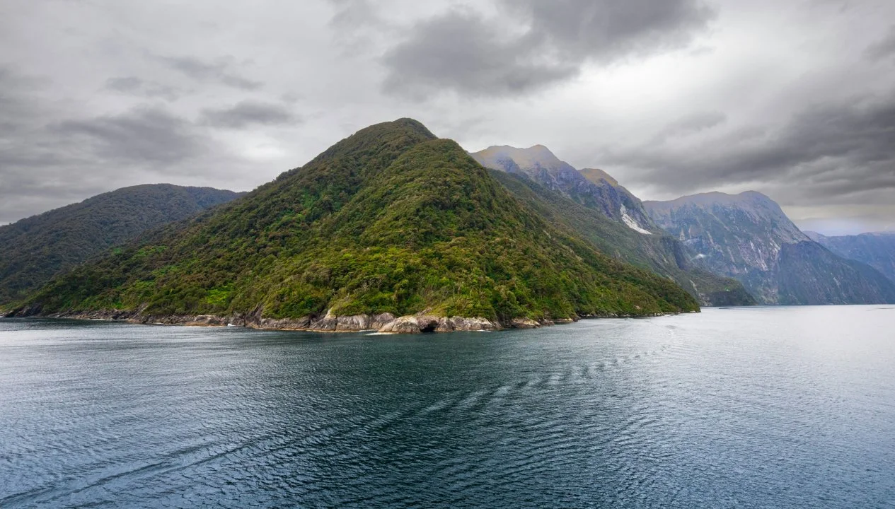 Manawatu-Wanganui hunting tips for first-time explorers, wildlife hunting seasons in the area and interesting facts
Geographical and natural features of the region: area