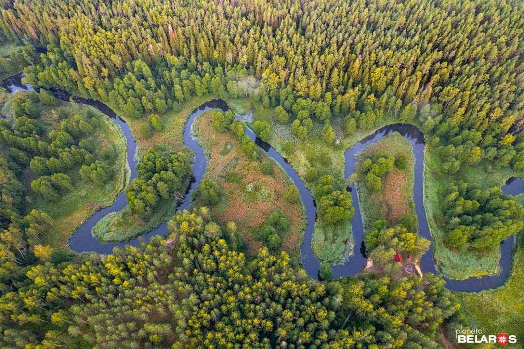 Республиканский ландшафтный заказник «Красный Бор»