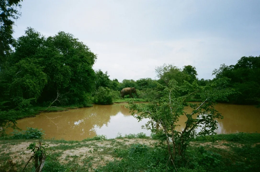Hunting in Bono East: Exploring Geography, Examining Legislation, and Learning Interesting Facts
Bono East, a centrally located region in Ghana created in 2019, is a lan