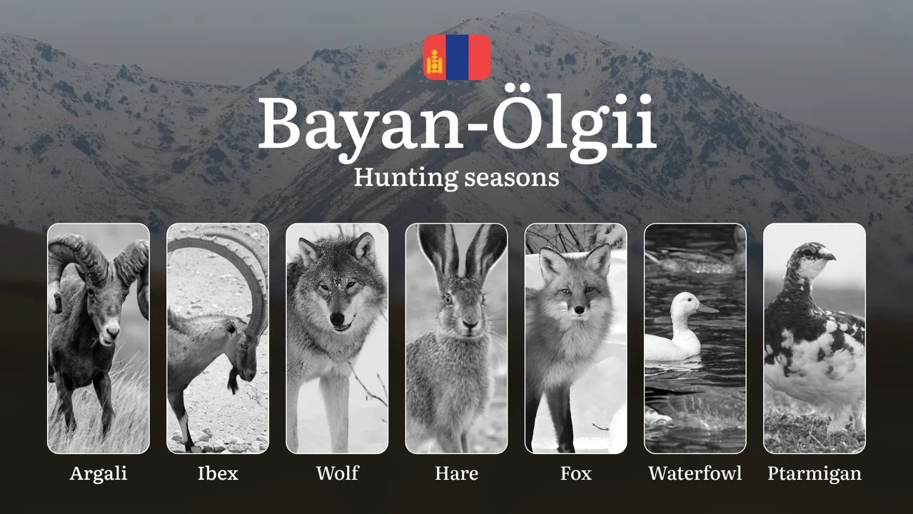 Hunting Periods and Permits in Bayan-Ölgii Province: A Detailed Look at Game Movement Throughout the Year, Seasonal Limi…