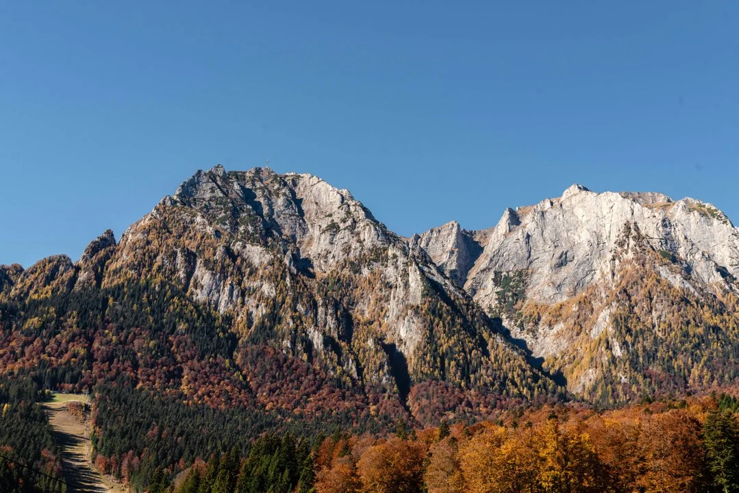 Jagd in Gamprin, Liechtenstein: Geografische Besonderheiten, Jagdmethoden, Wildtiere, Gesetze, Traditionen, Jagdvereine
Die Jagd in Gamprin, einer der kleinsten Gemeind