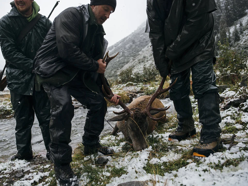 Jagd in Obersimmental-Saanen (Kanton Bern), Schweiz: Geografische Gegebenheiten, Bevölkerung, Jagdtechniken, Wildpopulat… Jagd in Obersimmental-Saanen (Kanton Bern), Schweiz: Geografische Gegebenheiten, Bevölkerung, Jagdtechniken, Wildpopulat…