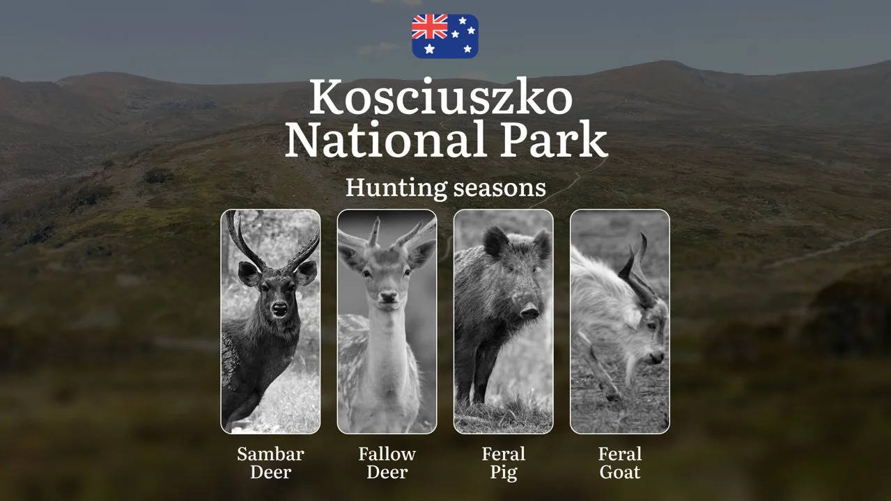 Alpine Pursuits: Kosciuszko National Park Hunting – When the High Country Yields Its Best Trophies

Hunting Regulations & Seasonal Framework in Kosciuszko National Park

