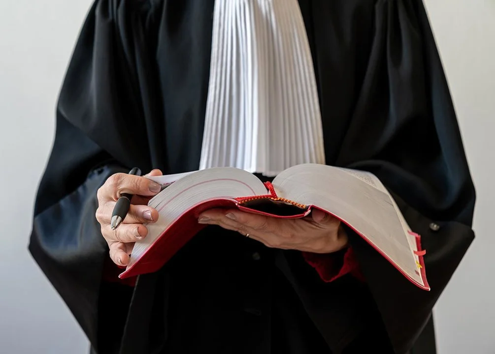 Gard: un braconnier condamné sévèrement pour avoir tué illégalement un grand cerf