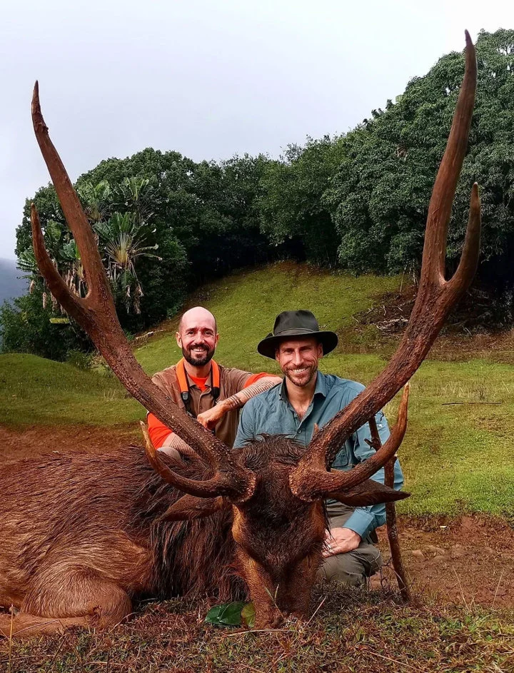 I do not know what is the best for me as a guide:
1/ To have such a rusa deer harvested after a nice stalking
NOR
2/ to receive such a testimonial from my client....
Perh