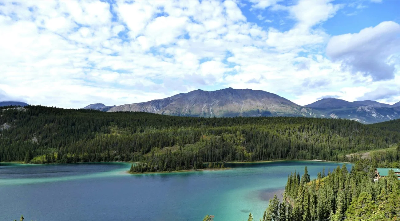HUNTING IN THE YUKON (Y.T.): UNCOVERING TYPES OF ANIMALS, DEMOGRAPHICS, ASSOCIATIONS AND CLUBS, LAWS AND HUNTING SEASONS
The Yukon Territory (Y.T.) in Canada is a hunter
