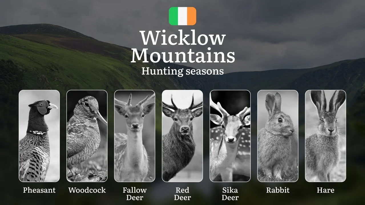 From Autumn Stags to Winter Woodcock: Decoding WICKLOW'S Hunting Calendar, Restricted Zones, and Expert Strategies for Mountain Game

General Hunting Rules and Seasons in