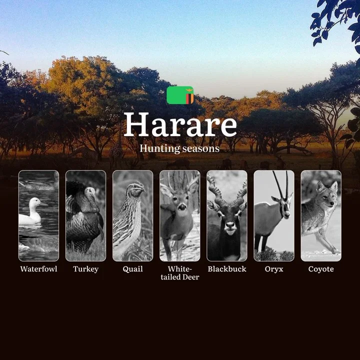 When the Wild Calls: Hunting Seasons, Hunting Calendar and Prime Times in Zambia's Harare Region
