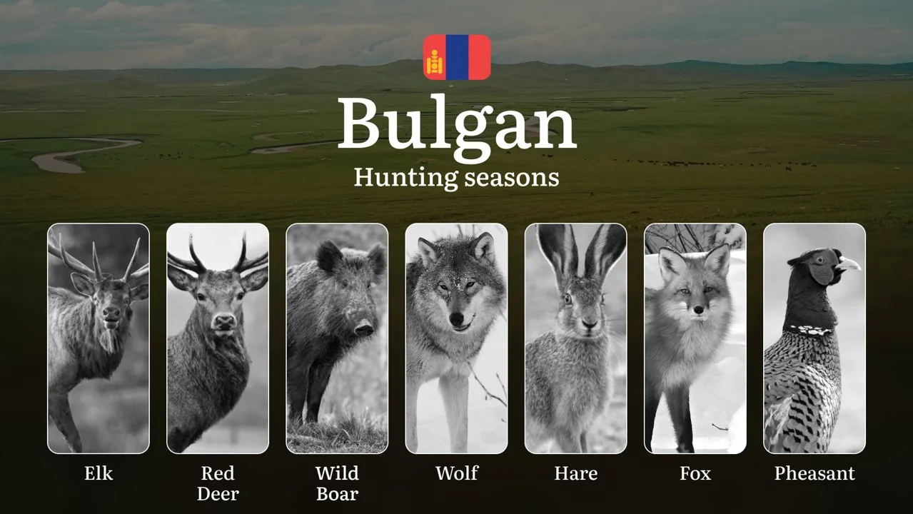 Hunting Seasons in Bulgan Province: Regulations, Permits, and Time for Hunting, Documents and Organizations