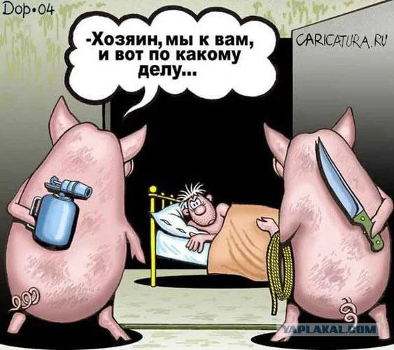Бесконтрольно расплодившиеся свиньи захватили город на Урале
В городе Ревда свиньи местного фермера Анатолия Луткова с прошлого года стали гулять по городу. Расплодившиес