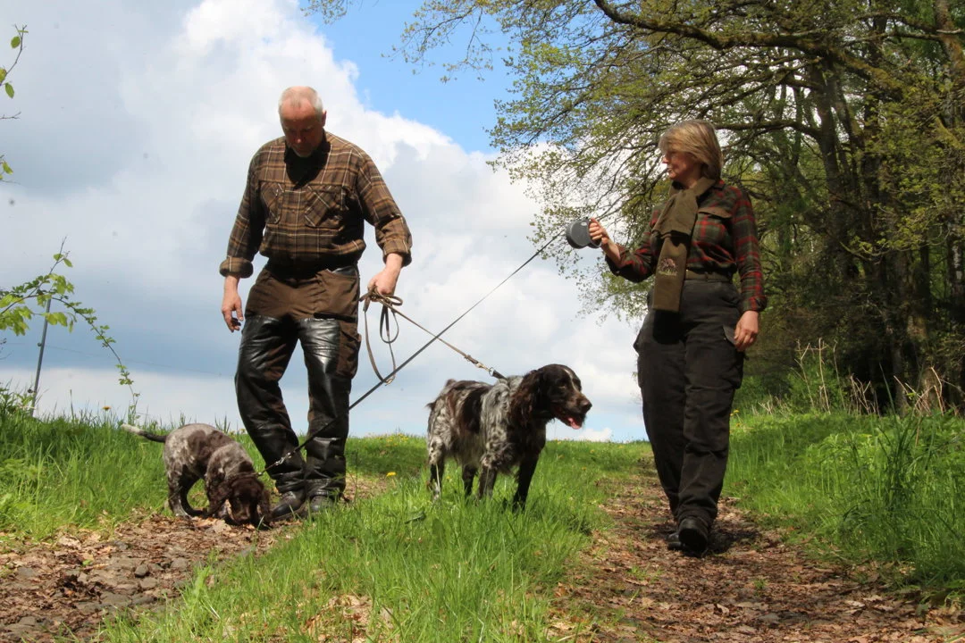 Jagd im SPESSART: Wildreichtum, Regionale Jagdbesonderheiten, Saisonale Jagdzeiten, Jagdorganisationen und Rechtliche Grundlagen

Der Spessart, ein weitläufiges Mittelgeb