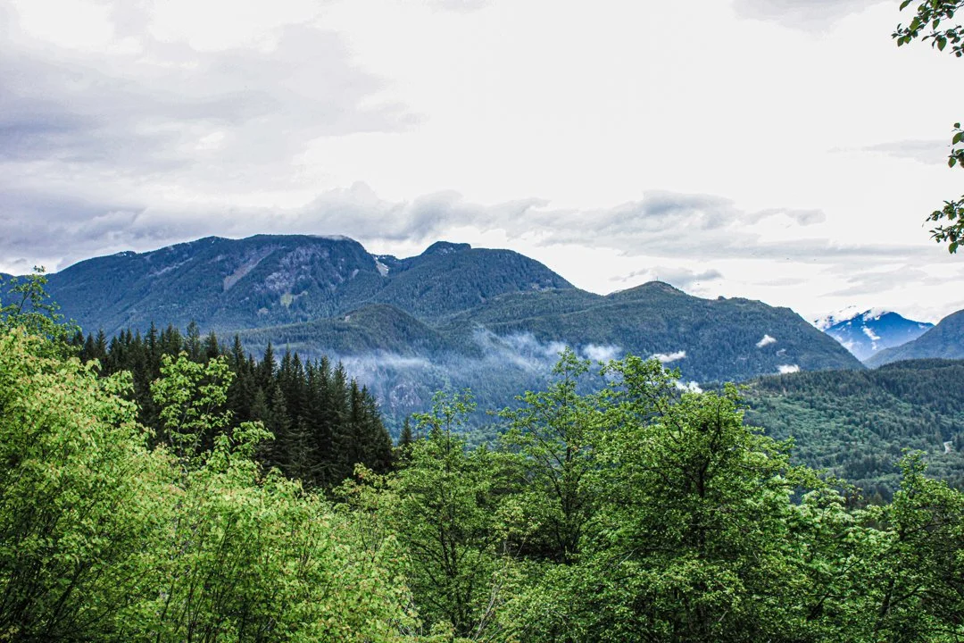 Jagd in Triesenberg, Liechtenstein: Landschaft, Wildbestände, Jagdzeiten, Gesetze, Gemeinschaften, Besonderheiten und Traditionen
Die Jagd in Triesenberg, einer der ma